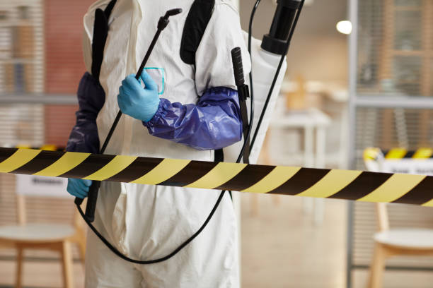 Professional Sewage Cleanup technician working in Troy, IL